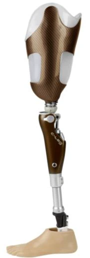 bionic prosth
