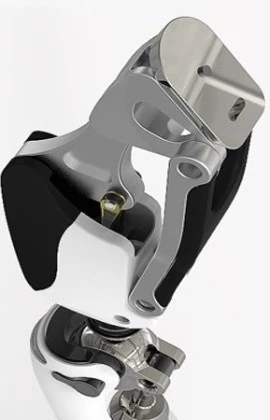 bionics bionics